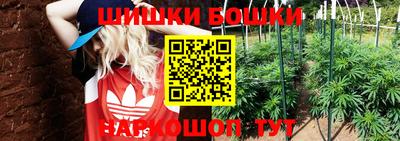 прущая мука Гатчина