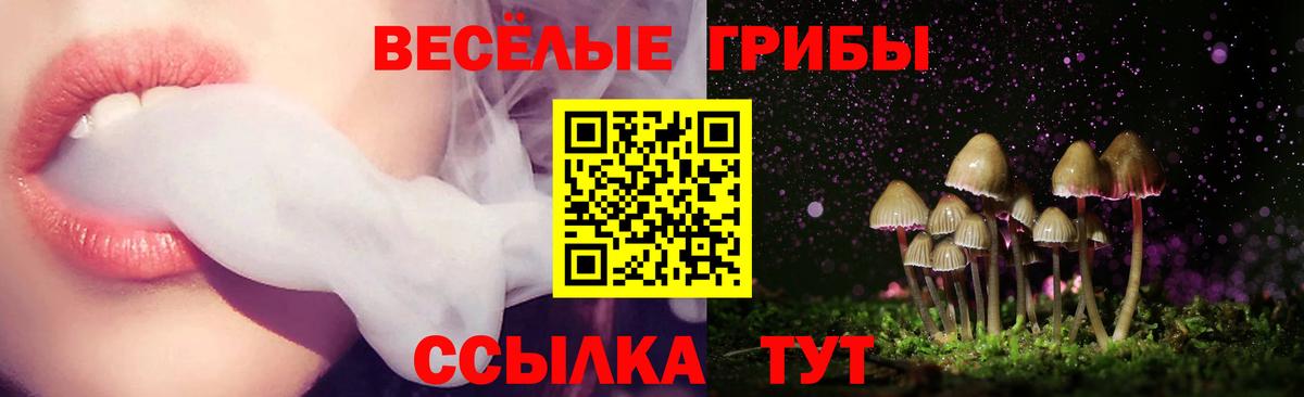 Галлюциногенные грибы Magic Shrooms Кисловодск